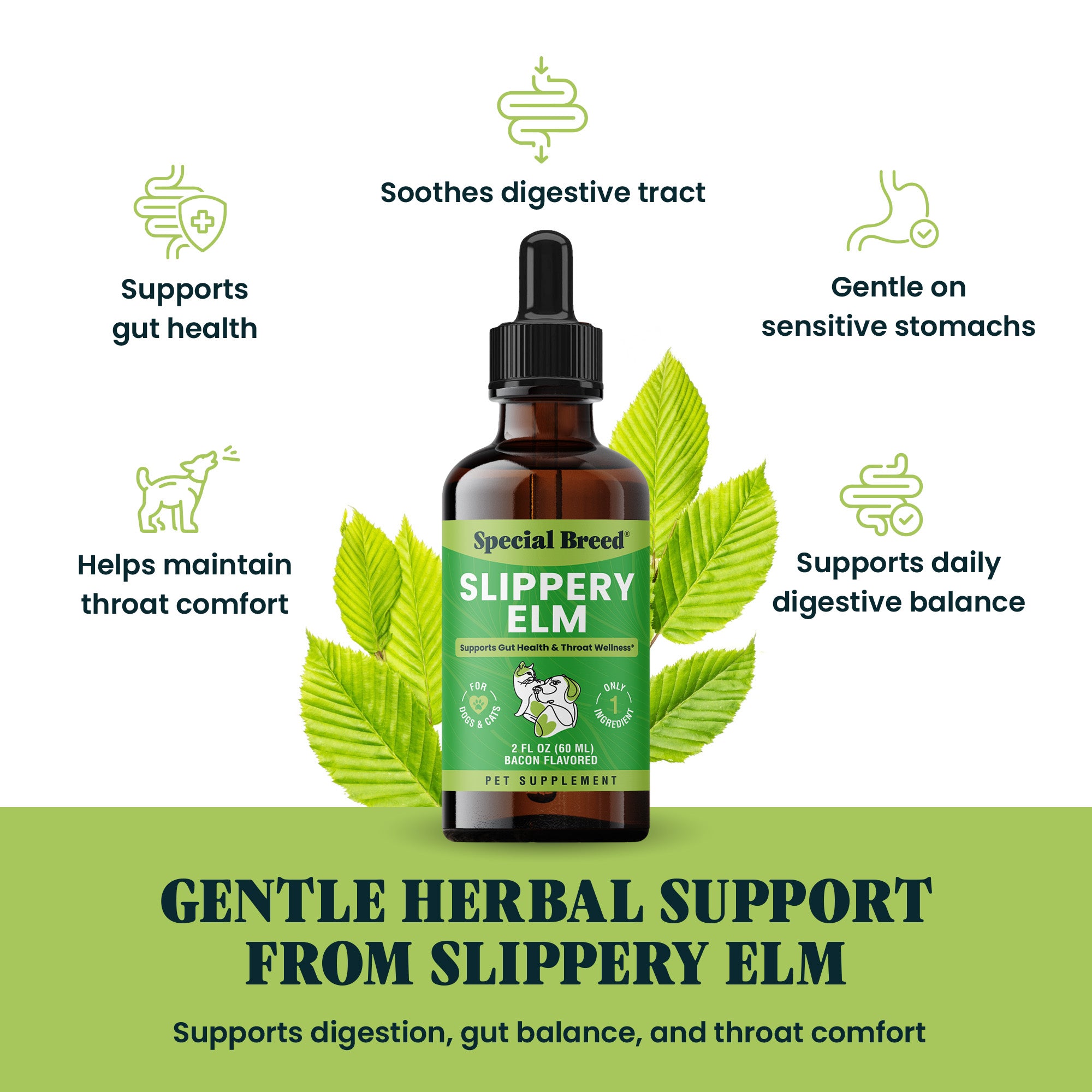 Slippery Elm 2oz