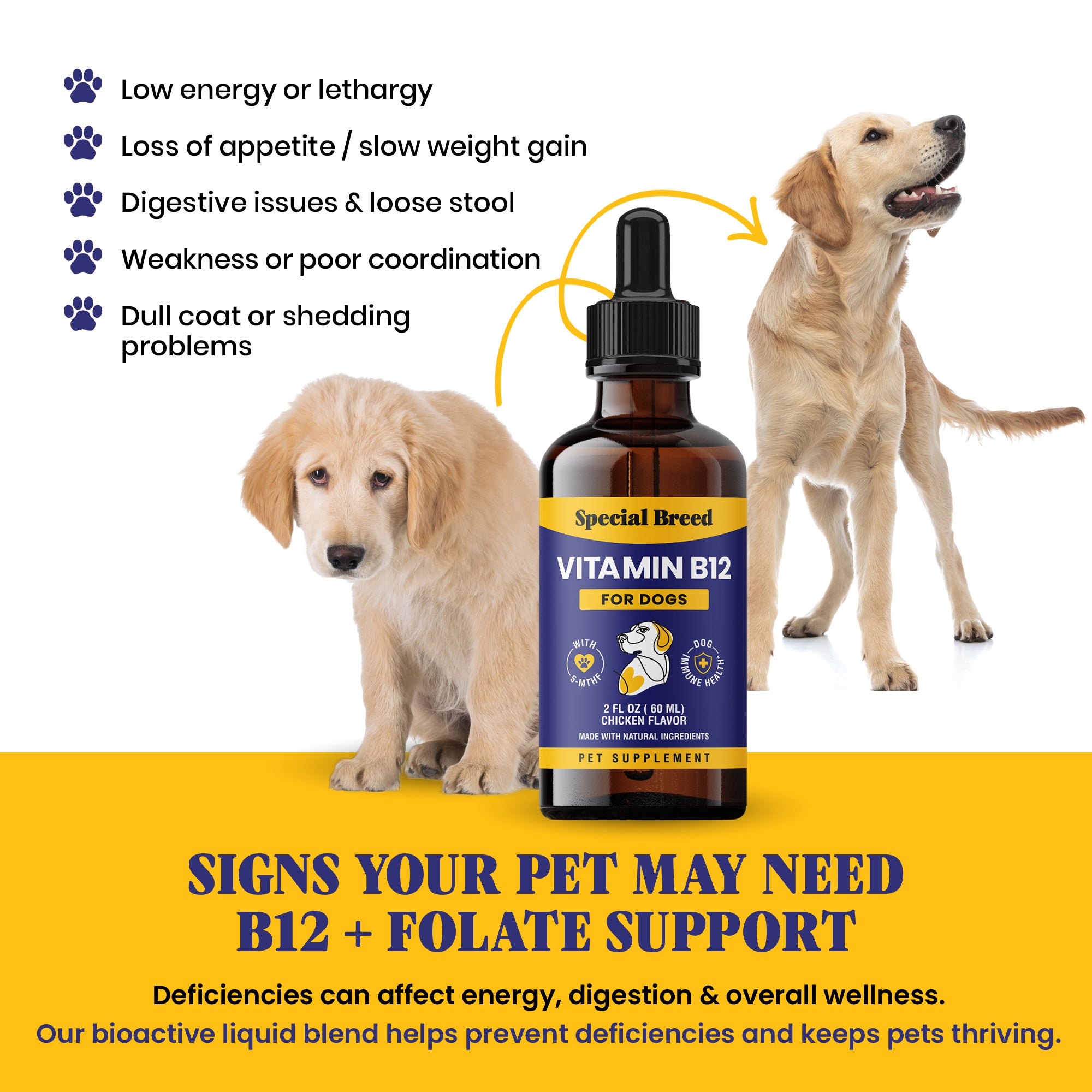 Vitamin B12 For Dogs 2oz
