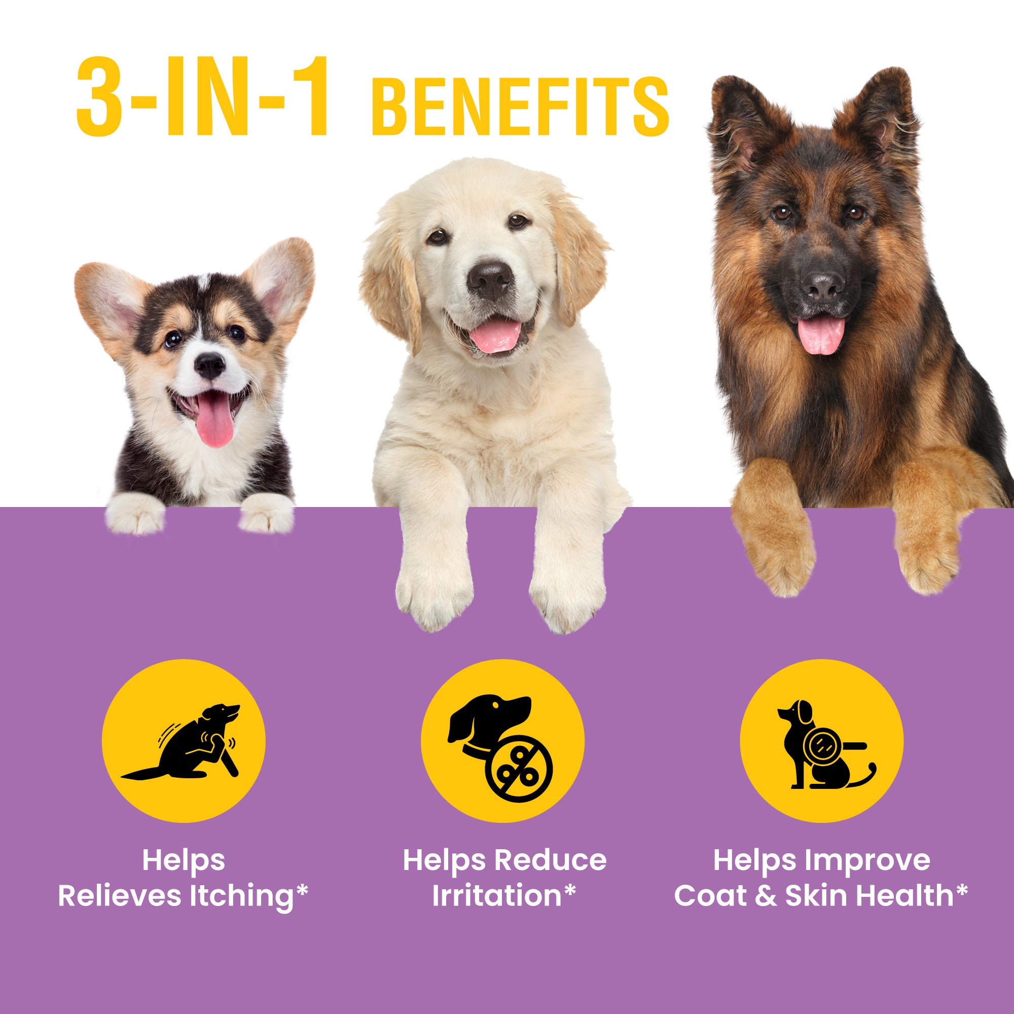 Yeast Infection Treatment For Dogs - 8oz