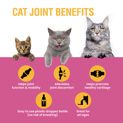 Cat Joint 2oz Liquid