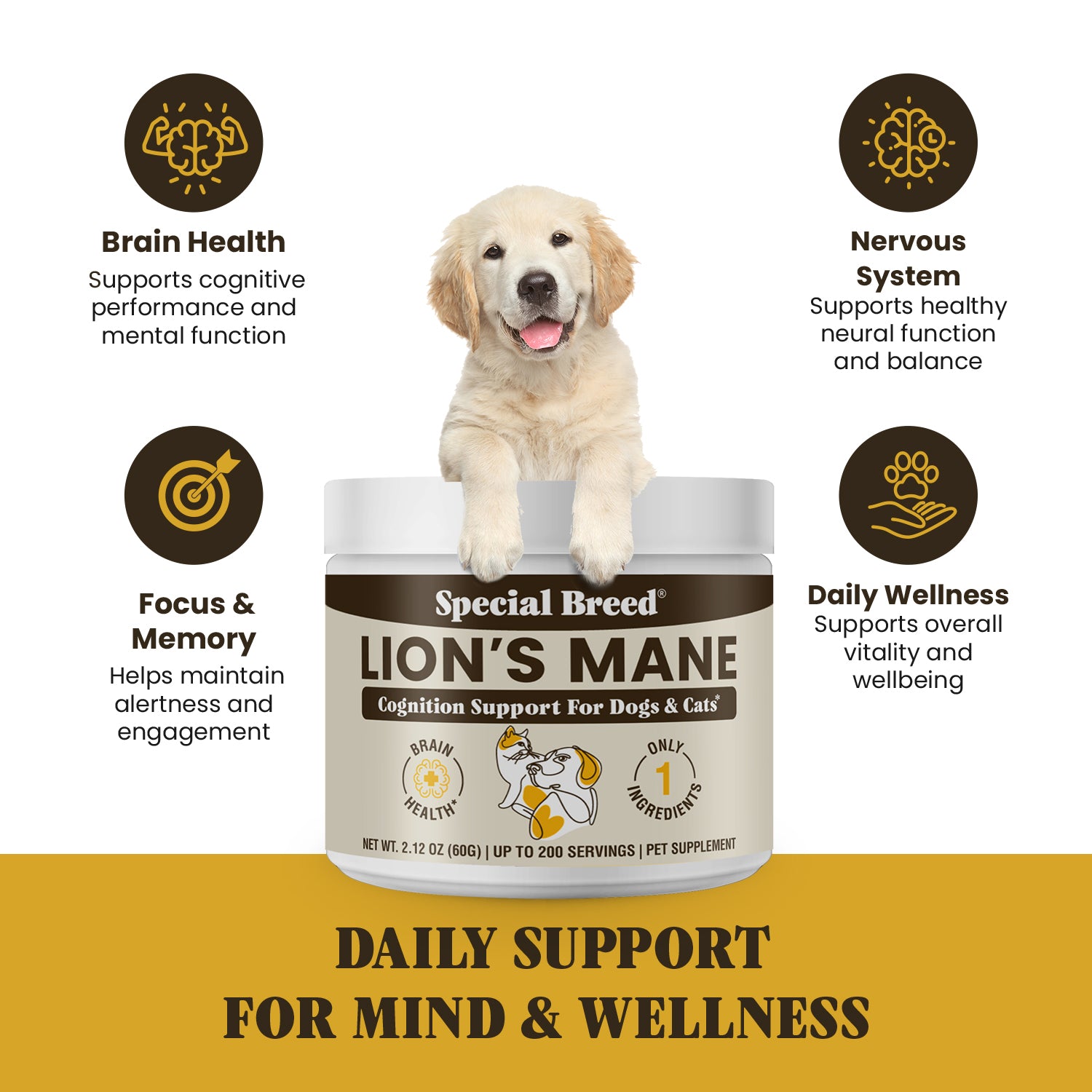 Lion's Mane Powder