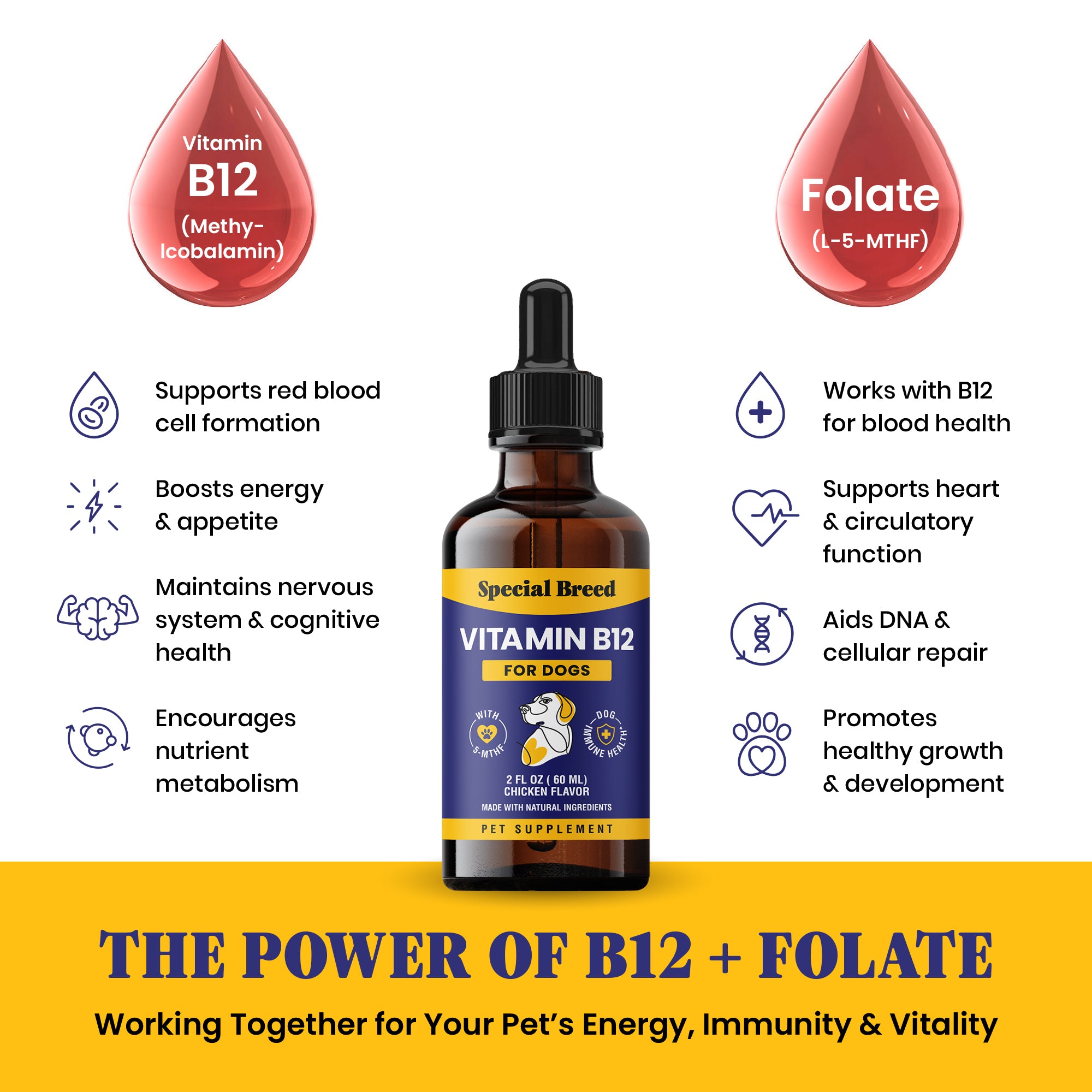 Vitamin B12 For Dogs 2oz