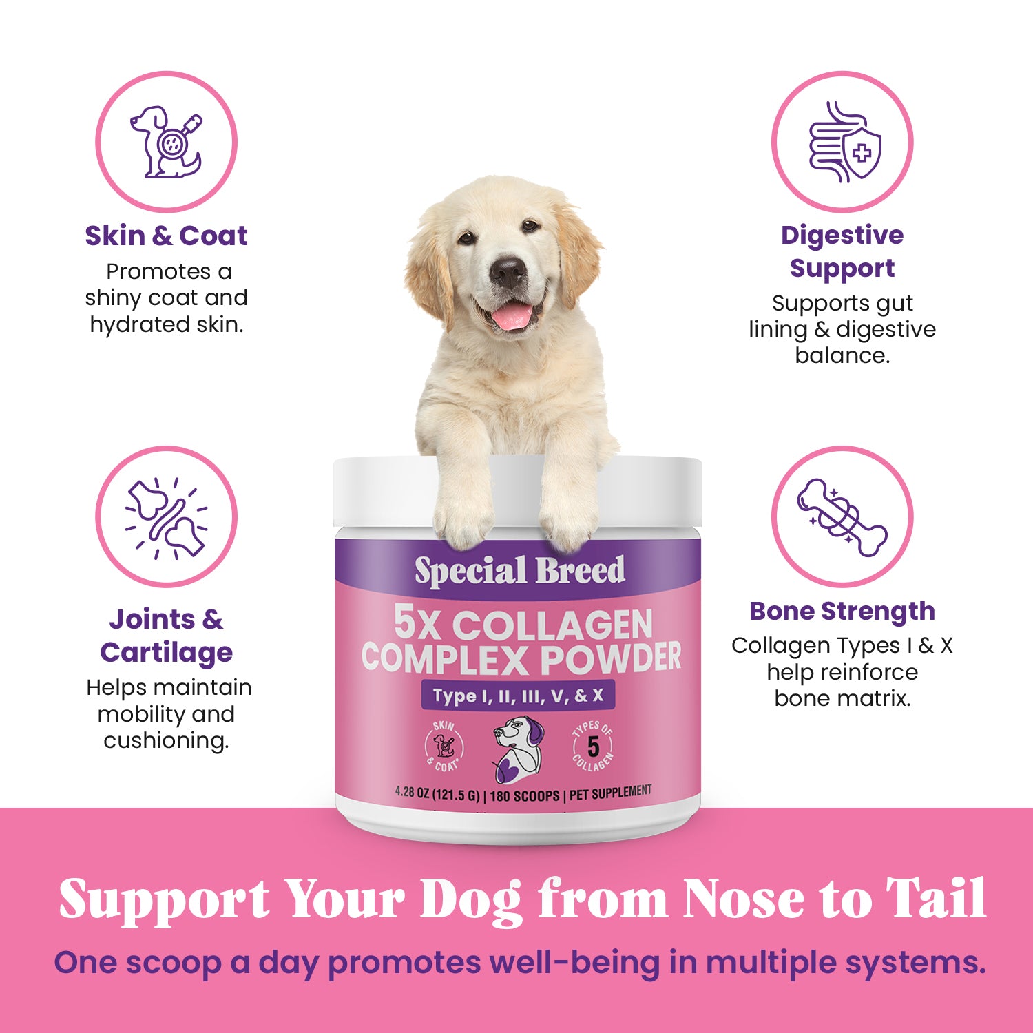 Collagen Powder