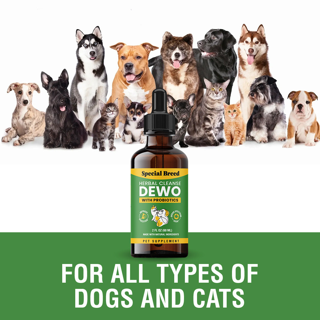 DEWO With Probiotics 2oz Liquid