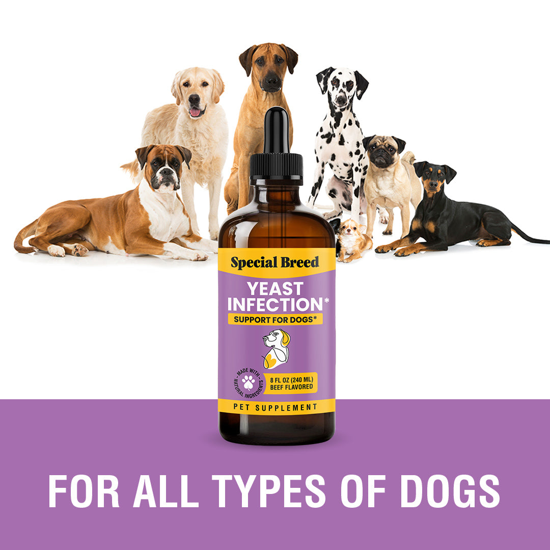 Yeast Infection Treatment For Dogs - 8oz
