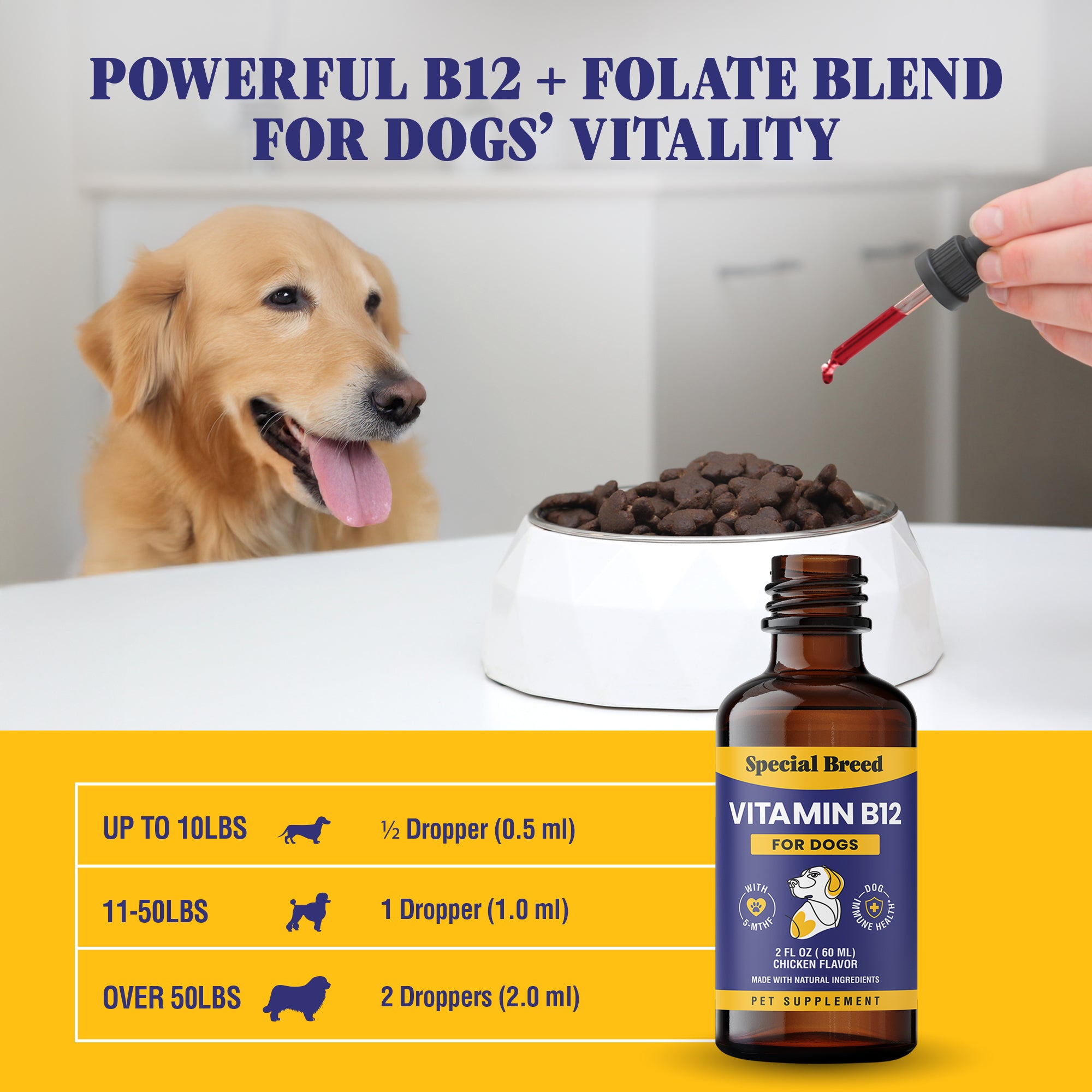 Vitamin B12 For Dogs 2oz