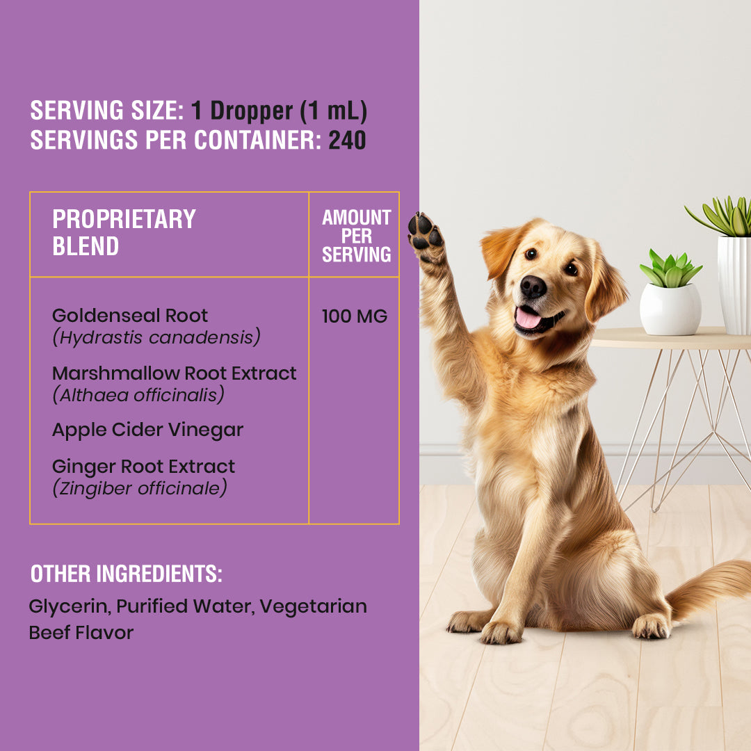 Yeast Infection Treatment For Dogs - 8oz