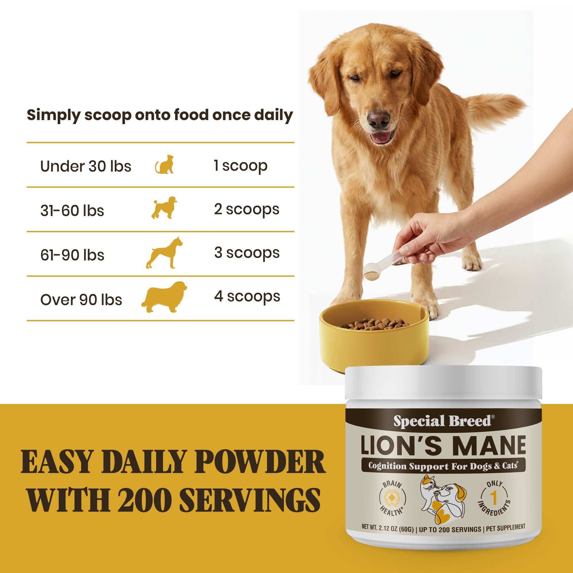 Lion's Mane Powder