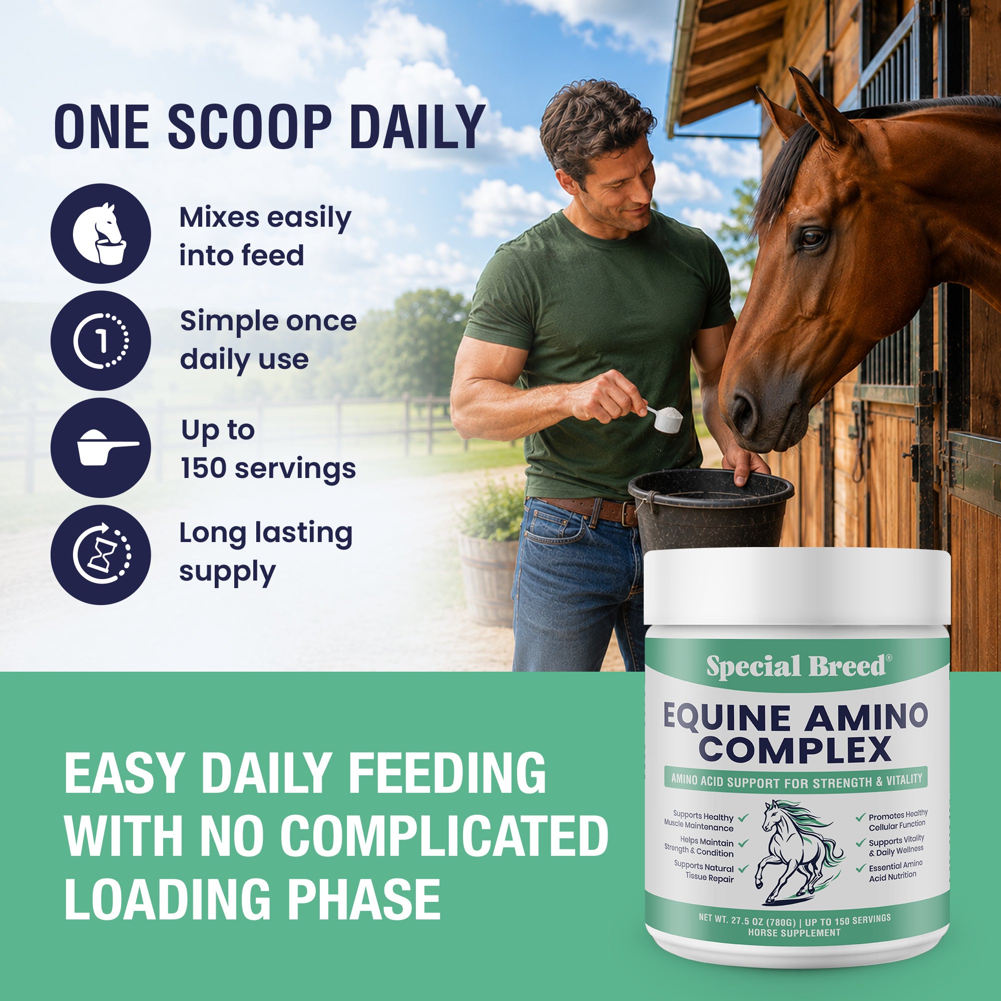 Horse Amino Acid Powder