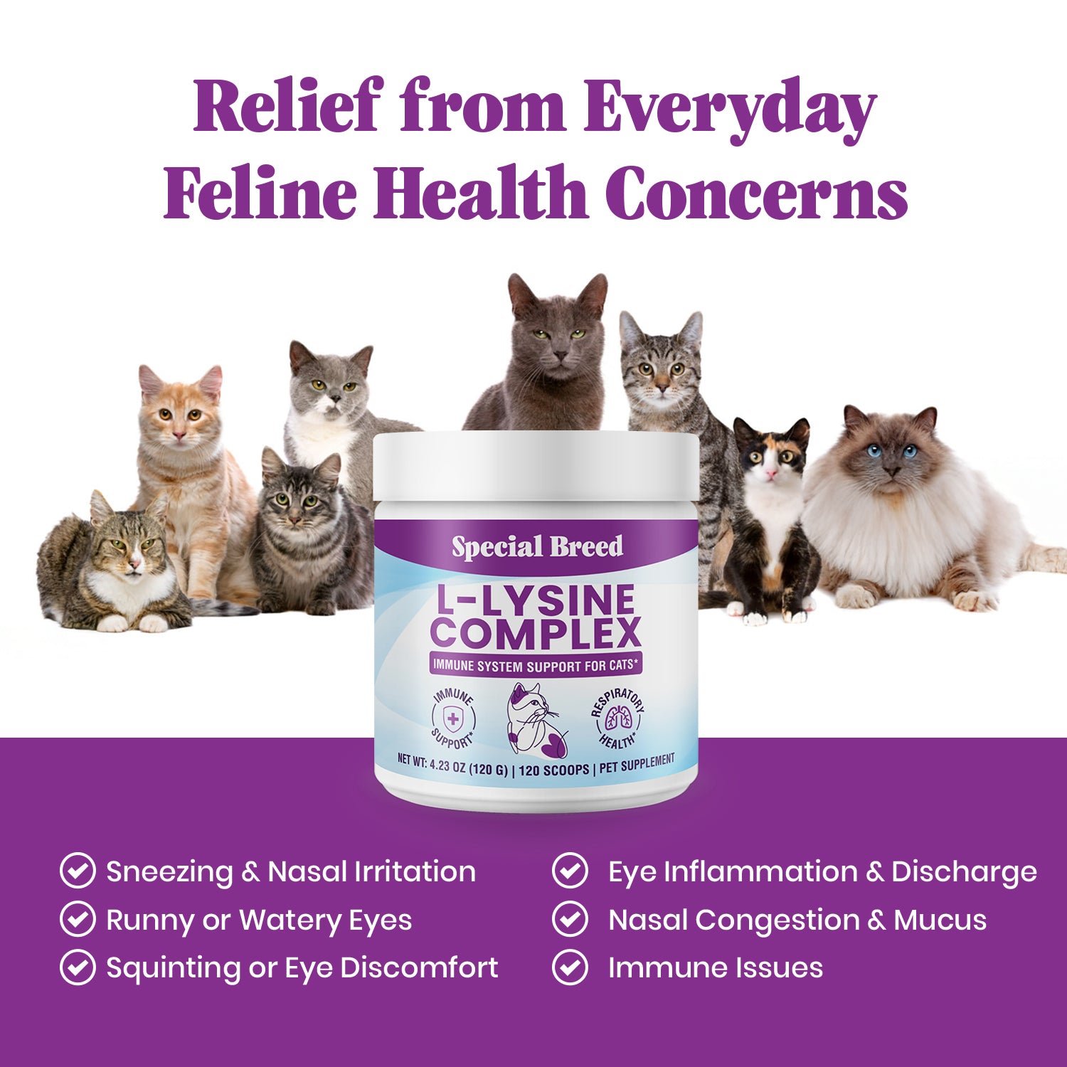 Lysine Complex Powder For Cats