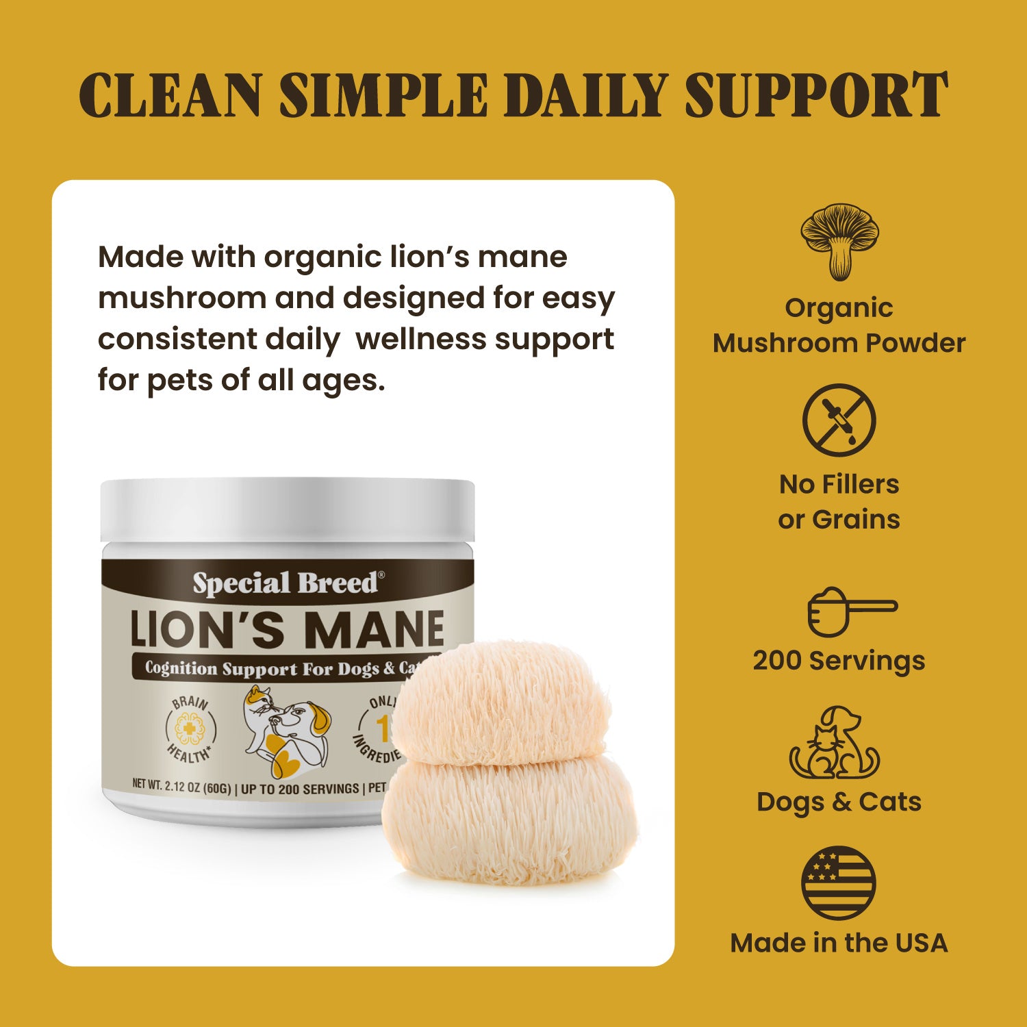 Lion's Mane Powder