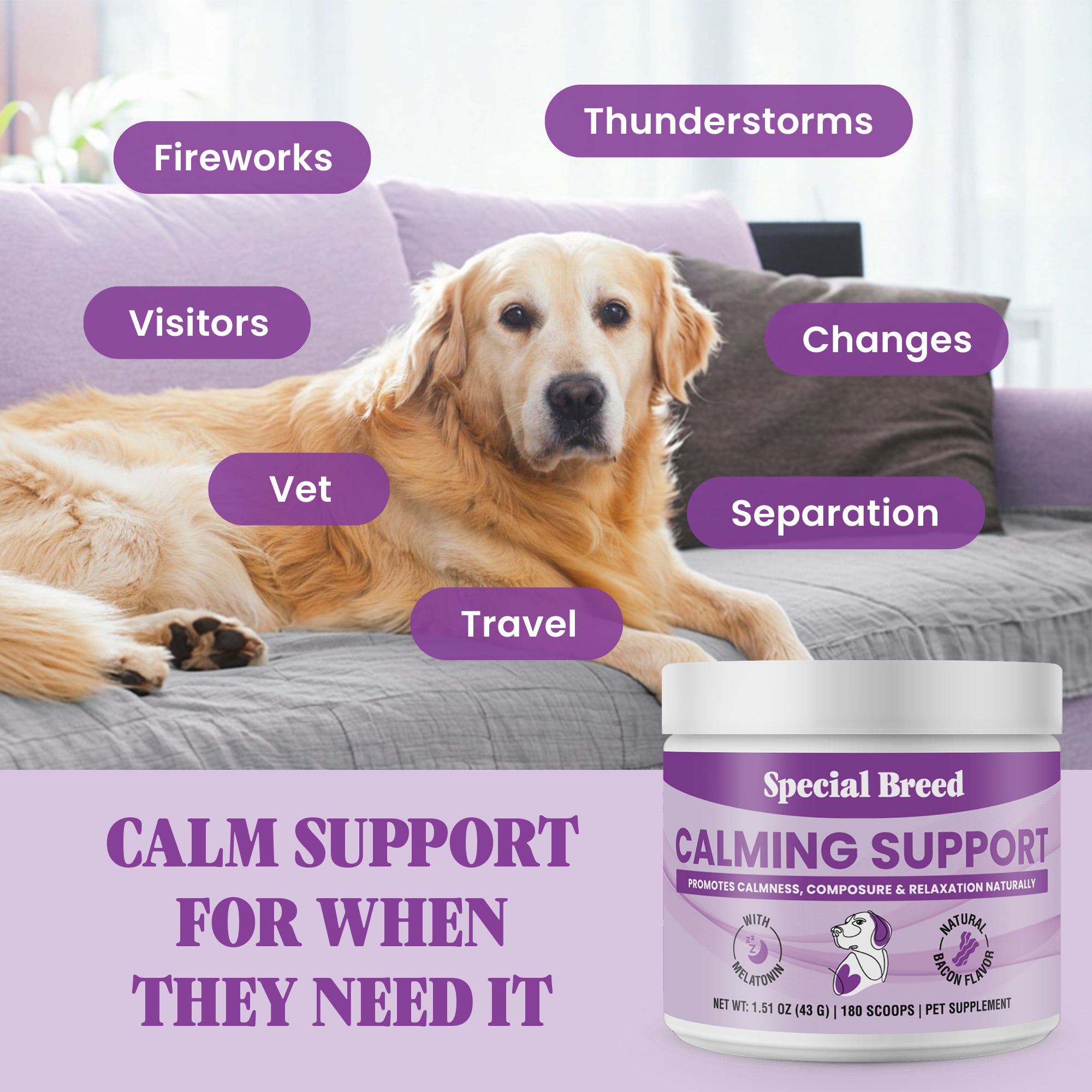 Calming Powder