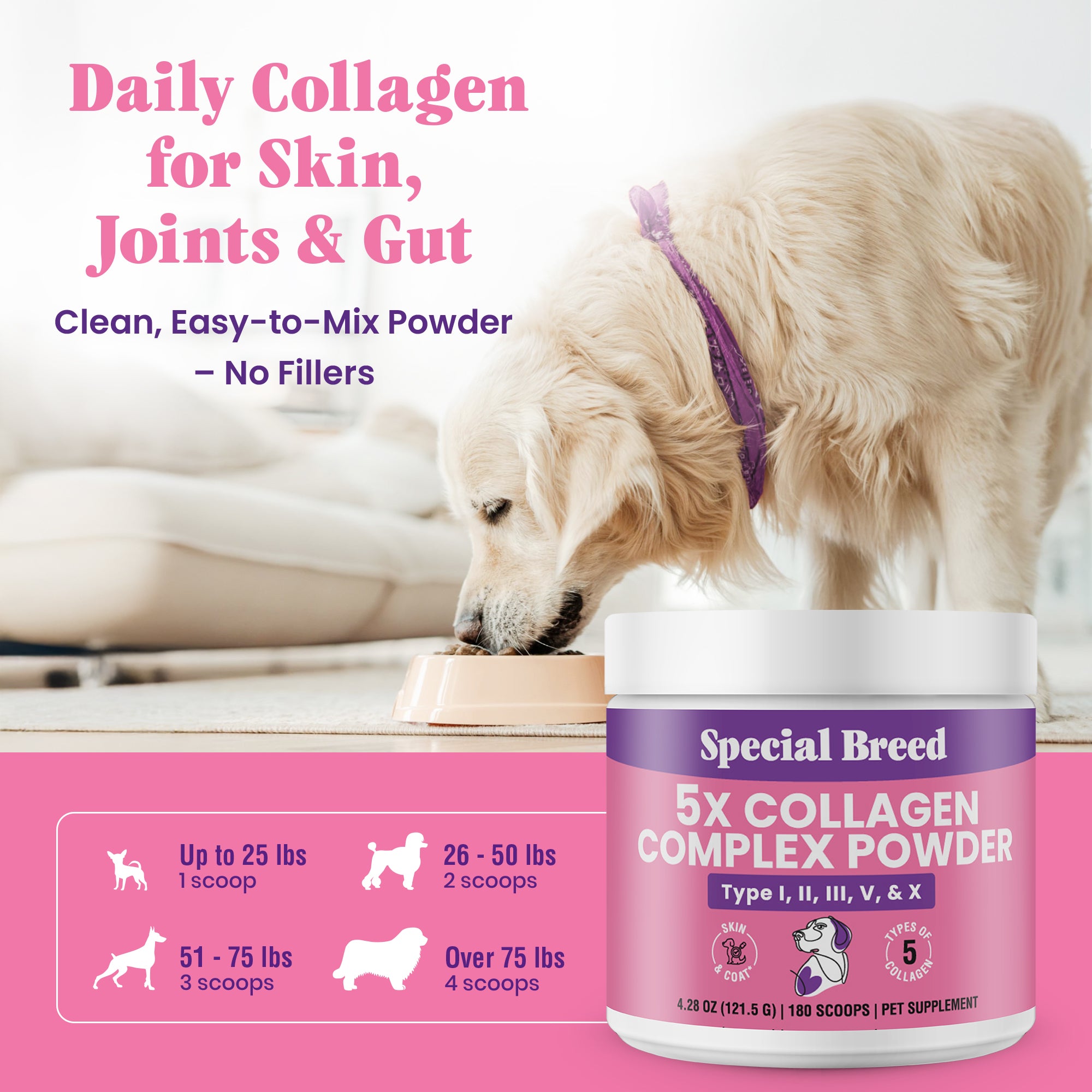Collagen Powder