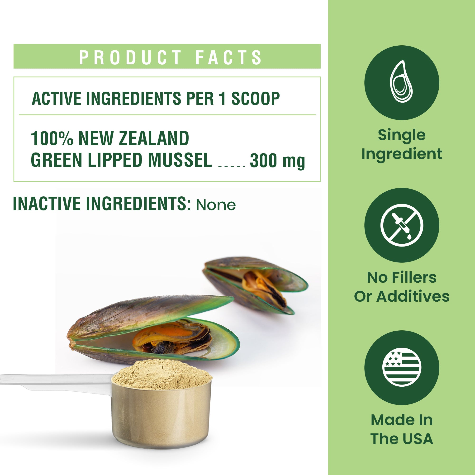 Green Lipped Mussel Powder