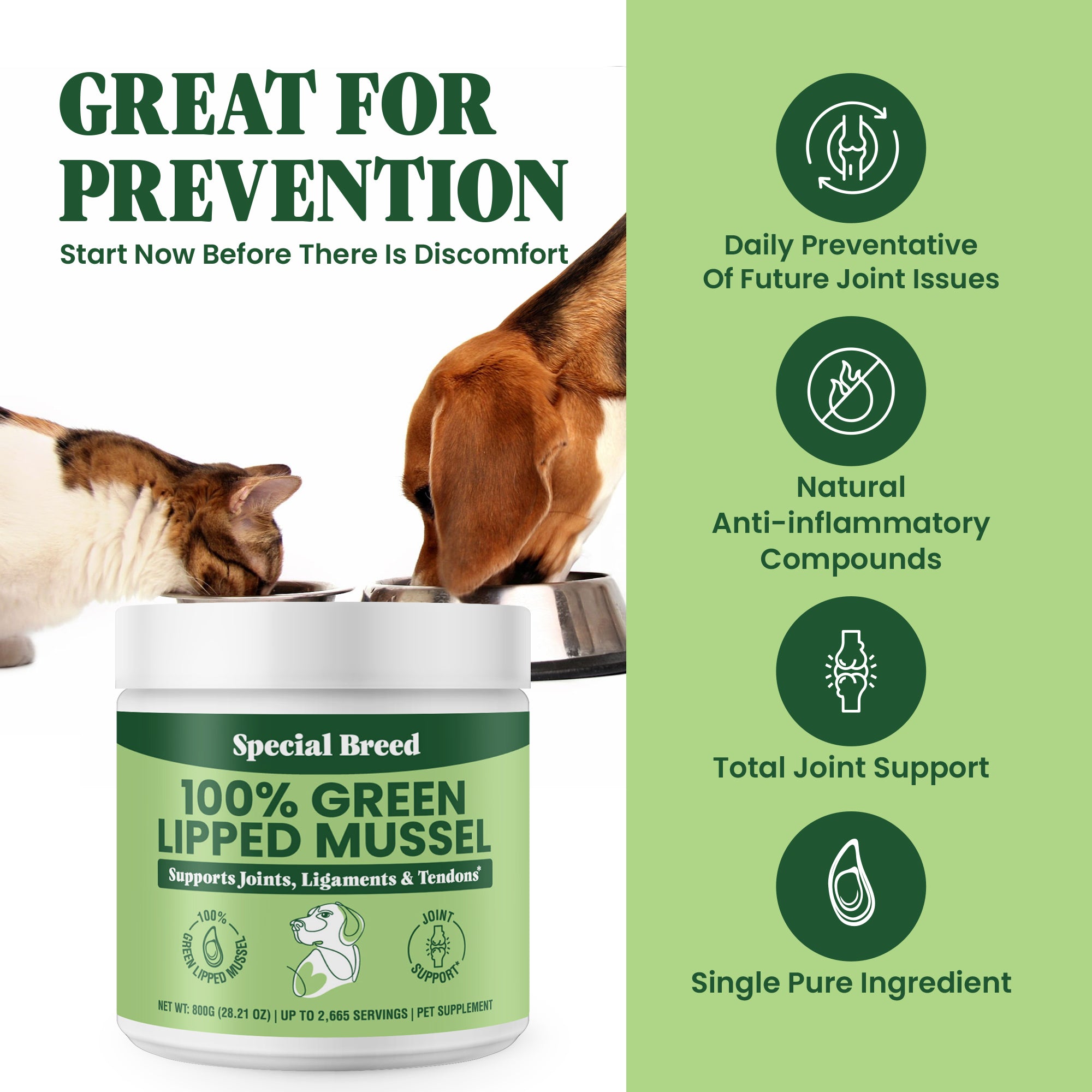 Green Lipped Mussel Powder - 800g