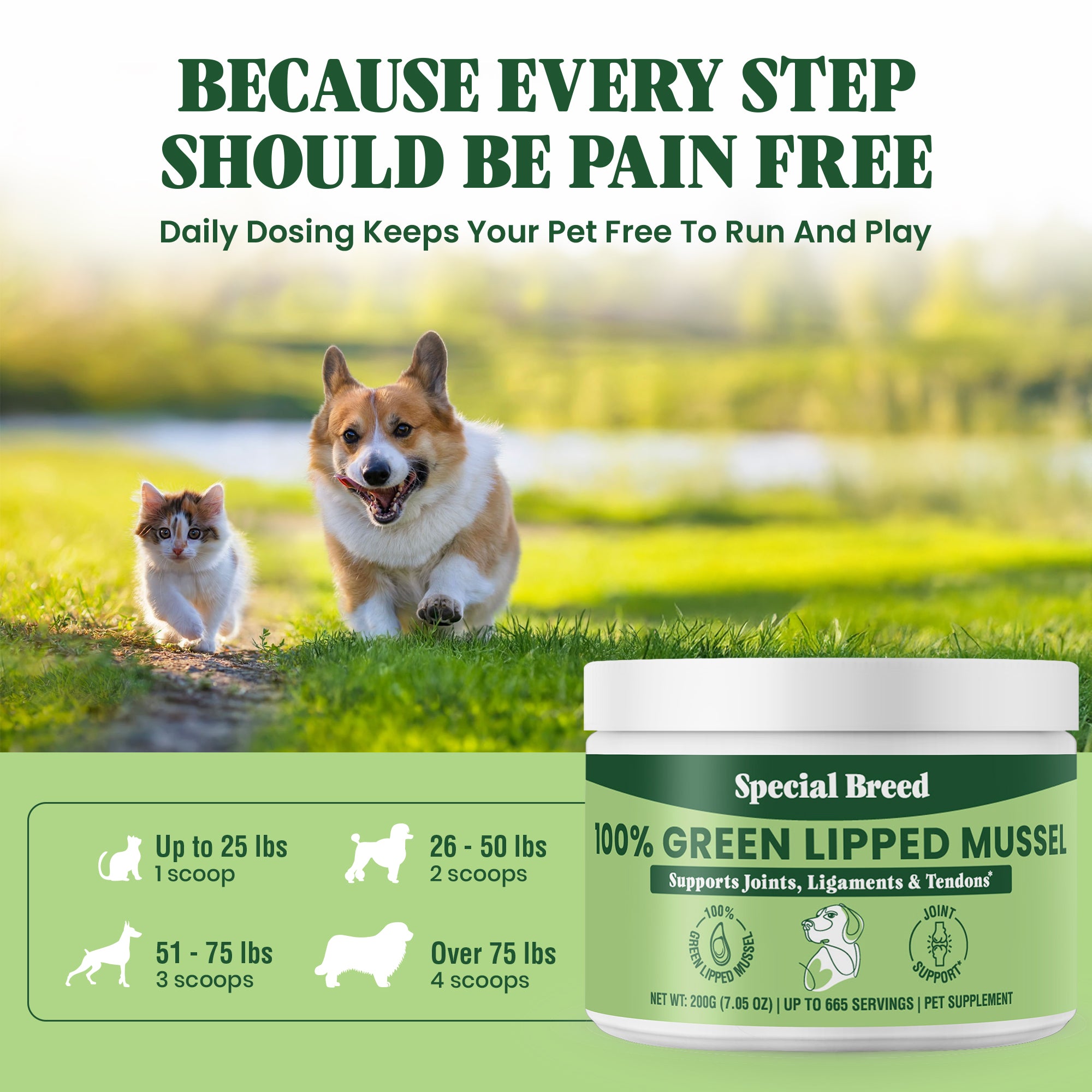Green Lipped Mussel Powder - 200g
